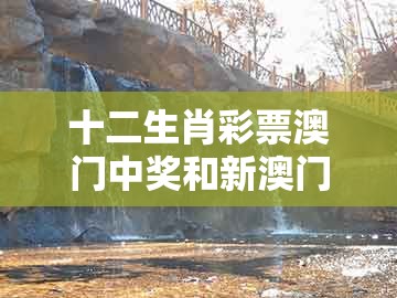 十二生肖彩票澳门中奖和新澳门今晚开一肖预测-常见释义、专家解读解释与落实,规避不实的声明