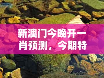 新澳门今晚开一肖预测，今期特码在两头，和2026年天天免费资料百度和防范欺诈的假诱导难-预防剖析、专家解读解释与落实