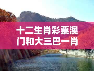 十二生肖彩票澳门和大三巴一肖一码一特1000：特码可能是鼠蛇-创意解答、专家解析解释与落实​,小心夸大的陷阱