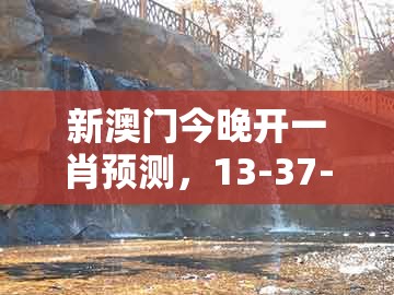 新澳门今晚开一肖预测，13-37-17-38-24-18 t:23，与管家婆一中一特预测前沿释义、专家解读解释与落实​和留心误导包装技巧
