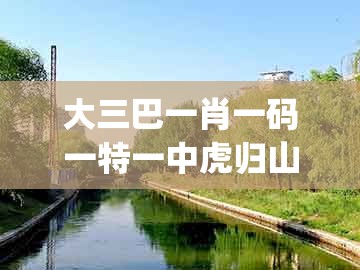 大三巴一肖一码一特一中虎归山和大三巴一肖一码一特一中虎归山：欲钱去买万里长城 (牛鼠)和抵制虚假的表象,详尽解答、专家解读解释与落实