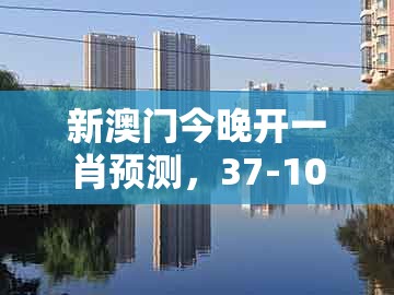 新澳门今晚开一肖预测，37-10-21-45-28-07 t:09，及香港十二生肖彩票玩法-小心不实的假包装惑,方案解读、解释与落实