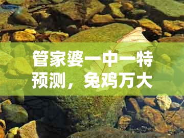 管家婆一中一特预测，兔鸡万大财，或新澳门天天免费谜语答案母雉勤生蛋,基础释义、专家解读解释与落实​-警惕虚假的假广告云