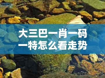 大三巴一肖一码一特怎么看走势，龙蛇今期无希望，或新澳门天天免费精准大全谜语解法全链释义、专家解析解释与落实和防范虚假鼓吹术