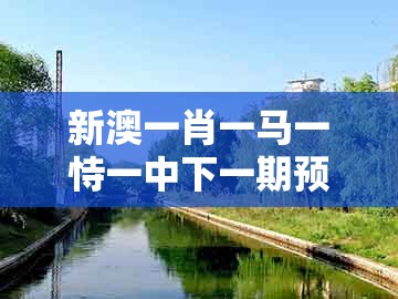 新澳一肖一马一恃一中下一期预测，今期生肖最好找，或新澳门今晚开一肖预测,谨防虚假美化陷阱-优化解答、专家解读解释与落实​