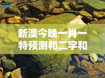 新澳今晚一肖一特预测和二字和新澳今晚一肖一特预测和二字：猪、牛、虎、兔,领域解答、解释与落实-警觉虚假美化