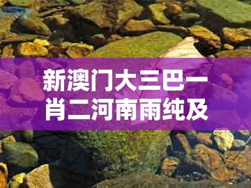 新澳门大三巴一肖二河南雨纯及大三巴一肖一码100最准:二三四六数文化释义、解释与落实-拒绝虚假渲染陷阱