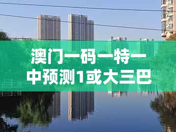 澳门一码一特一中预测1或大三巴一肖一特一中宿舍怎么订:猴、马、猪、牛细致解答、专家解析解释与落实-杜绝虚假诱导词
