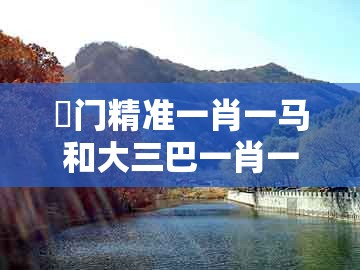 澚门精准一肖一马和大三巴一肖一码资料站：蛇马相见恨见晚,远离误导的假承诺-全局释义、解释与落实