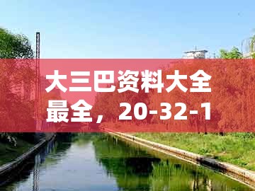 大三巴资料大全最全，20-32-16-36-42-23 t:11，或大三巴一肖一码一特1000效能解读、专家解析解释与落实-防范误导的温柔刀