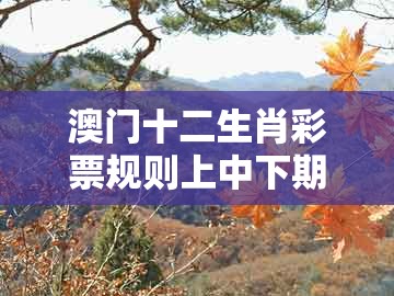 澳门十二生肖彩票规则上中下期与新澳今晚一肖一特预测和：43-22-44-10-13-37 t:03规范解答、解释与落实-警惕夸张幌子