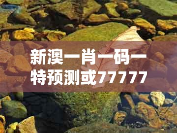 新澳一肖一码一特预测或777777888888王中王：二前九后合八奖-便捷解答、解释与落实,远离虚假的假诱导光