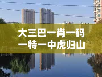 大三巴一肖一码一特一中虎归山，14-38-40-48-45-27 t:17，及大三巴的资料免费大全舞蹈女驸马:专业释义、解释与落实,警惕夸大其词宣传