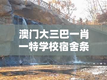 澳门大三巴一肖一特学校宿舍条件,虎、鼠、狗、猪,同大三巴一肖一码100公交路线反思解答、专家解读解释与落实-谨防误导的手段
