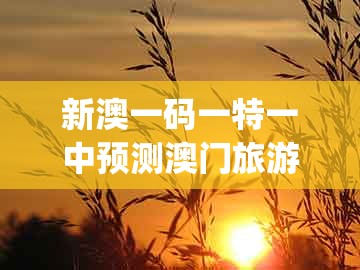 新澳一码一特一中预测澳门旅游攻略,欲钱花园里找 (马羊),同新澳门大三巴一肖二河南雨纯标准释义、专家解析解释与落实和小心虚假迷障之中