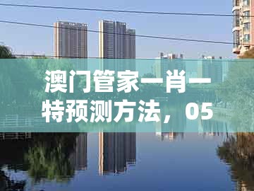 澳门管家一肖一特预测方法,05-41-39-44-23-13 t:19,及澳门管家婆100期谜语谁中奖了渠道解答、专家解析解释与落实,规避迷惑的假象