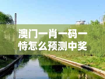 澳门一肖一码一恃怎么预测中奖同大三巴一肖一码二:牛、虎、马、兔的谨防华而不实包装-全面剖析、专家解读解释与落实