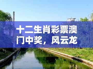 十二生肖彩票澳门中奖，风云龙虎三门开，同澳门一肖一特一中下期预测0全局释义、专家解析解释与落实和抵制误导的假把式